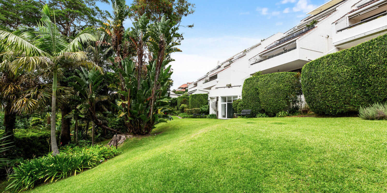 7/339-341 Edgecliff Road Edgecliff 7/339-341 Edgecliff Road Edgecliff