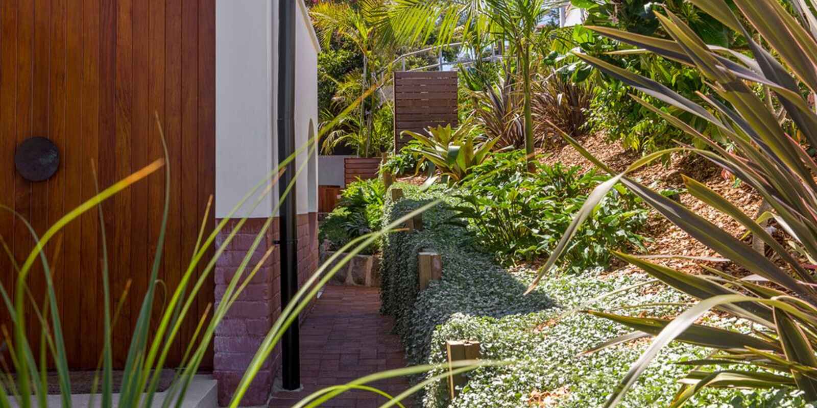 60 Clyde Street North Bondi