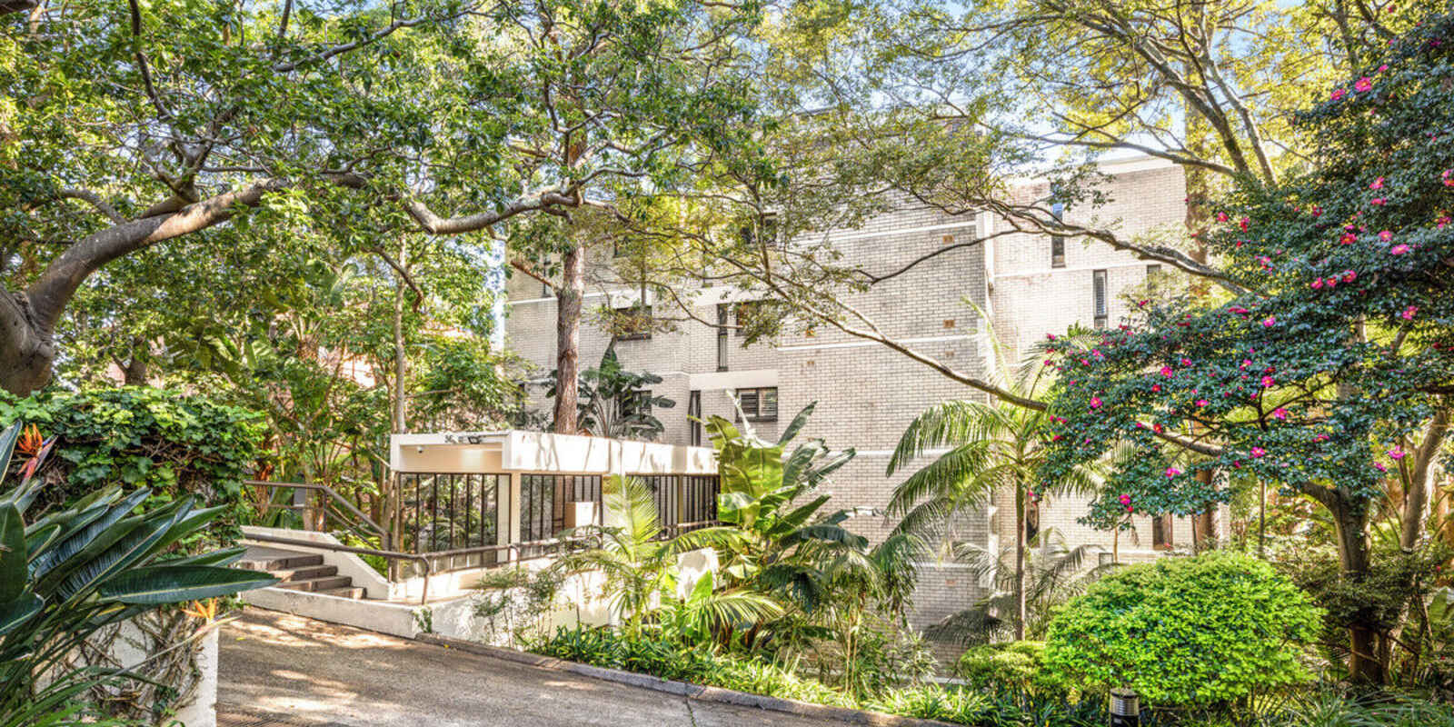 31/36 Fairfax Road Bellevue Hill