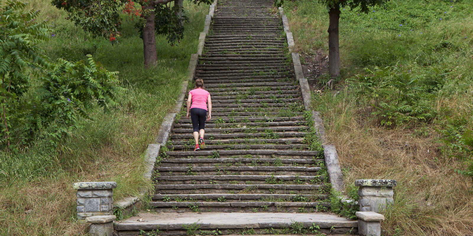 31/36 Fairfax Road Bellevue Hill