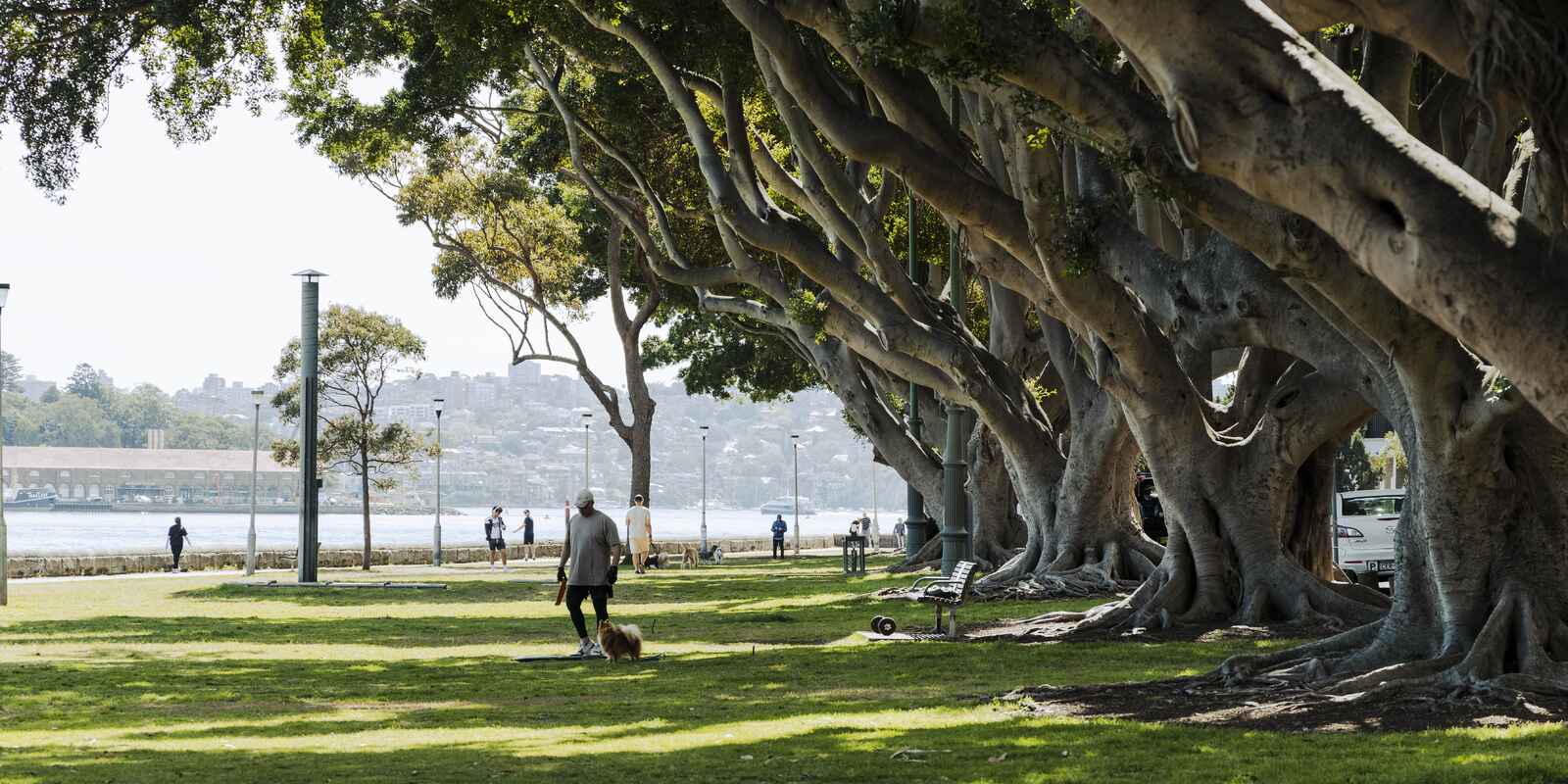 Denholm 5/54 Darling Point Road Darling Point Denholm 5/54 Darling Point Road Darling Point