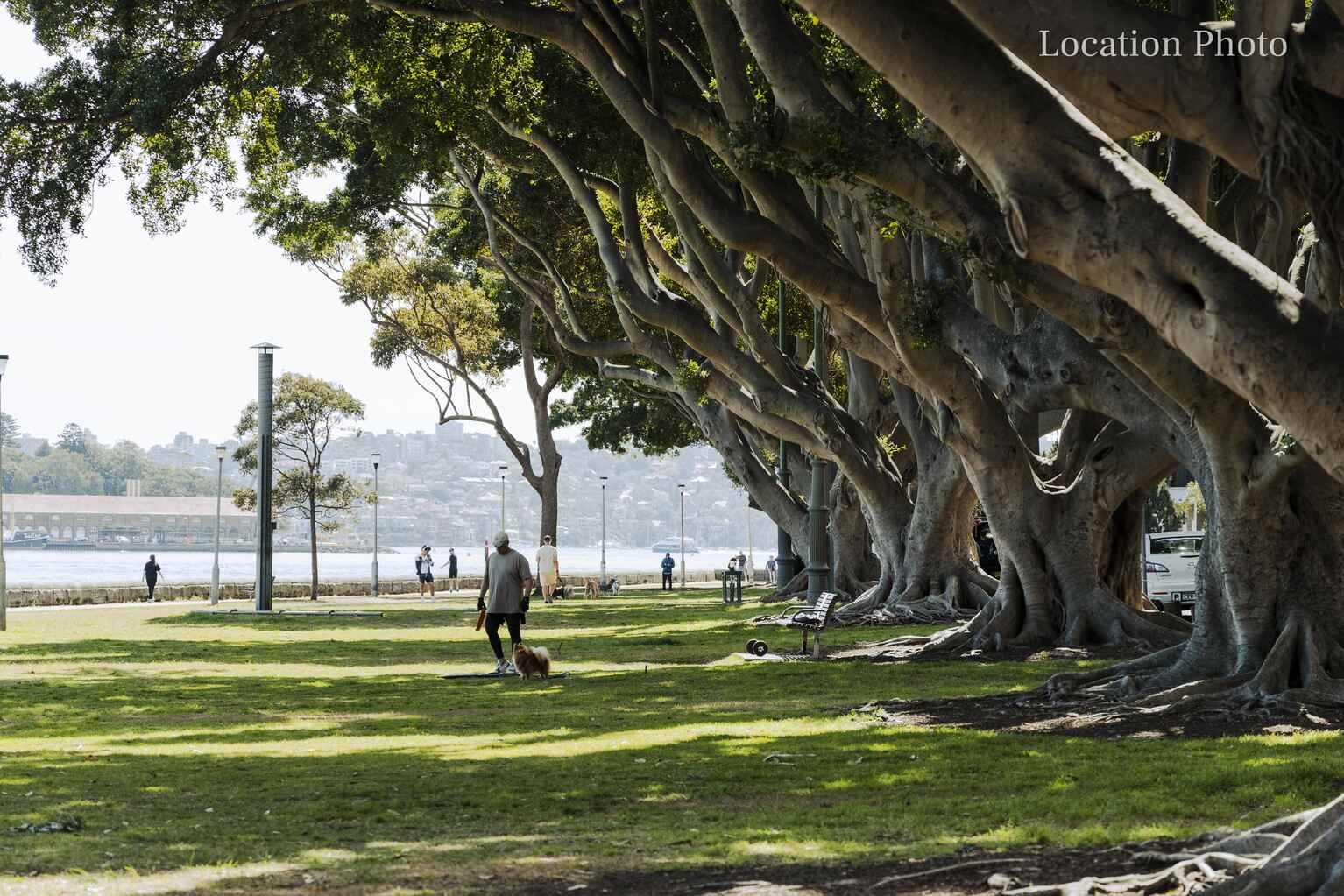 Denholm 5/54 Darling Point Road Darling Point Denholm 5/54 Darling Point Road Darling Point