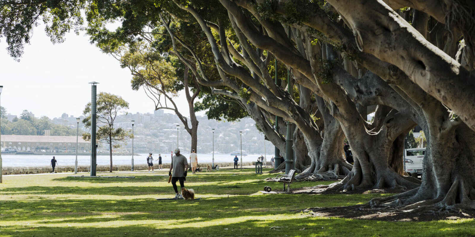 49/11 Yarranabbe Road Darling Point