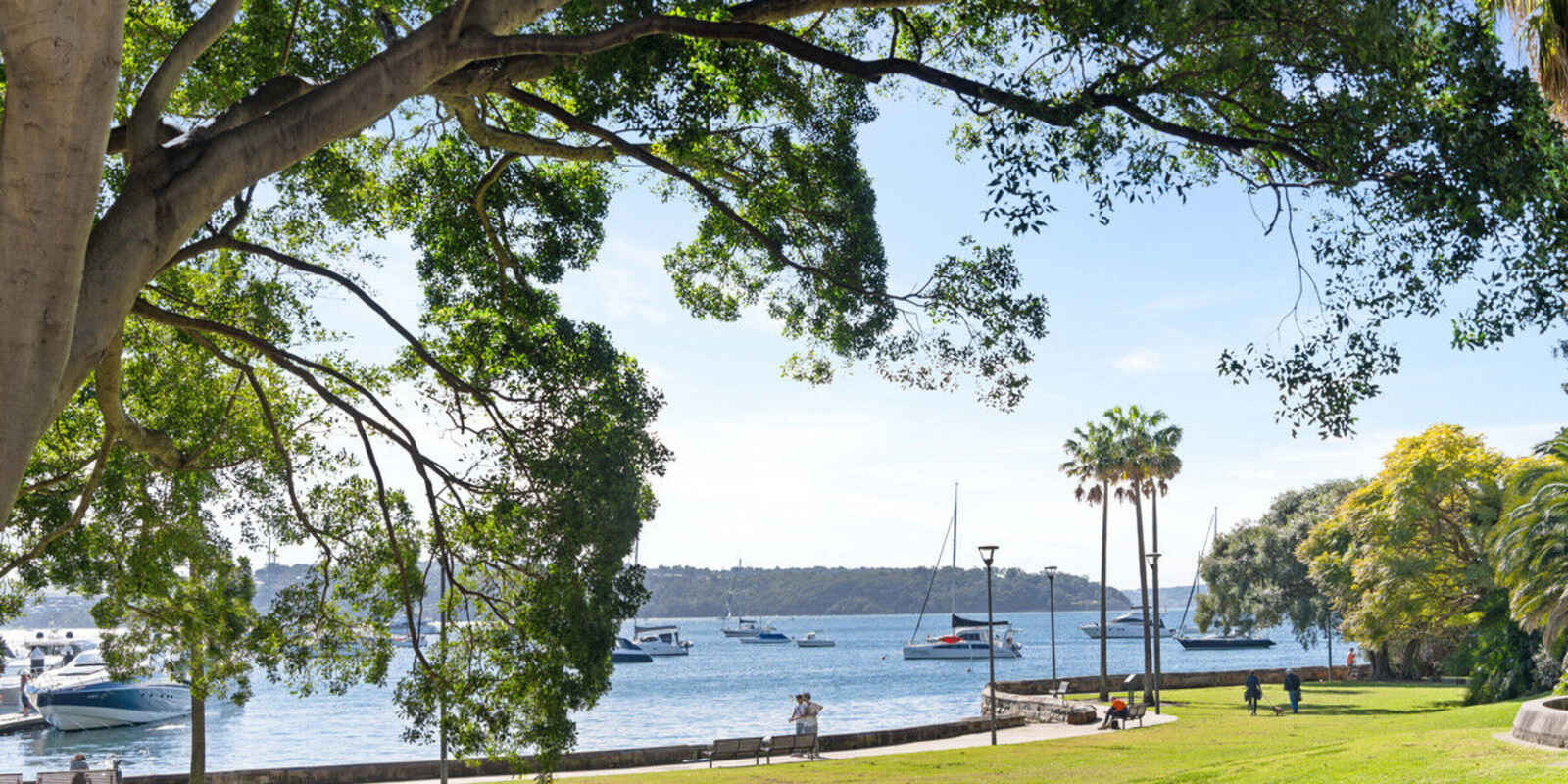 2/5-7 Esplanade Elizabeth Bay