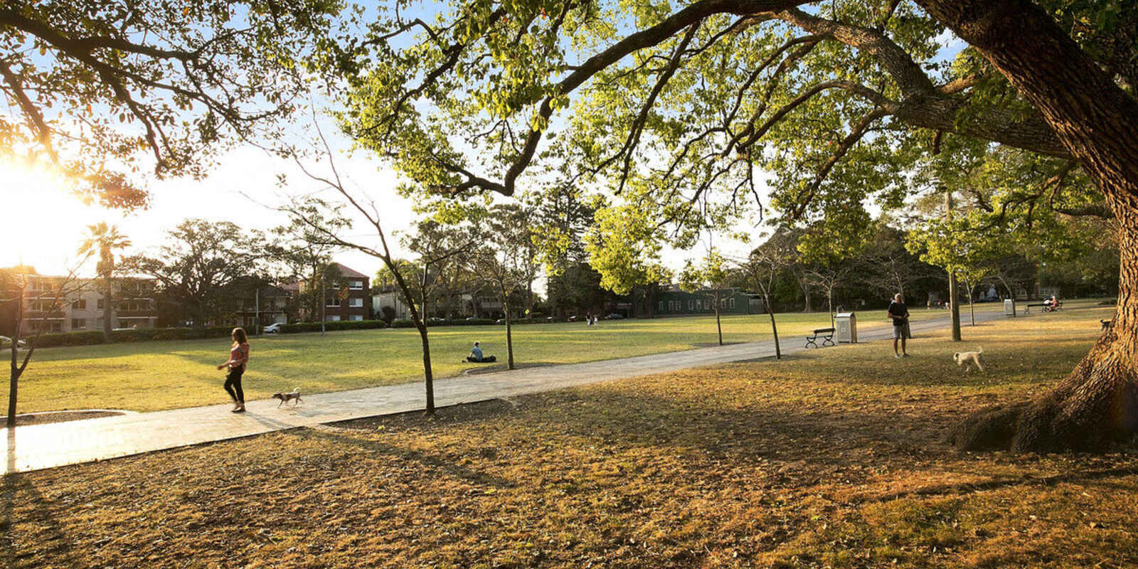 9/43a St Marks Road Randwick