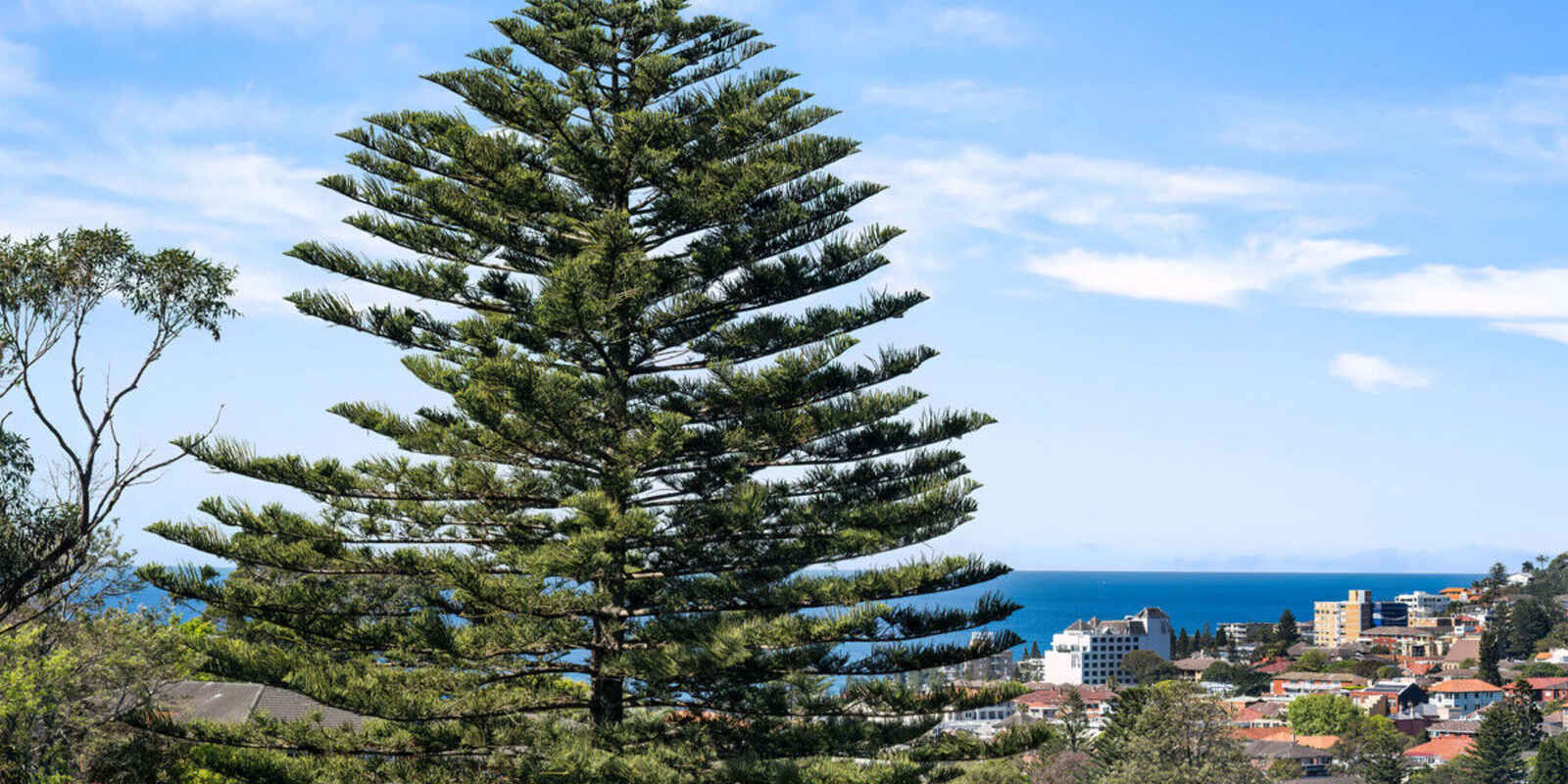 9/43a St Marks Road Randwick