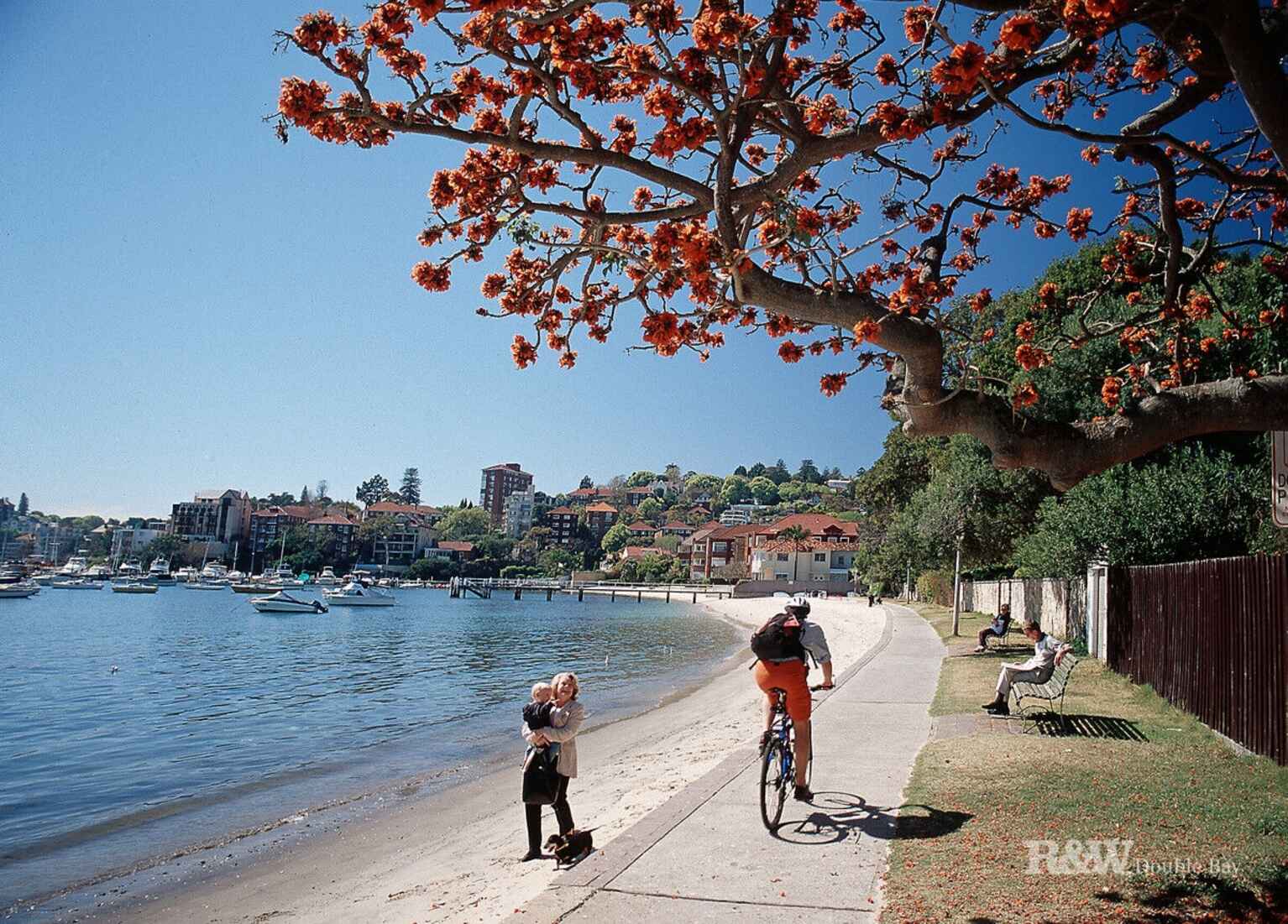 1/2B Holt Street Double Bay