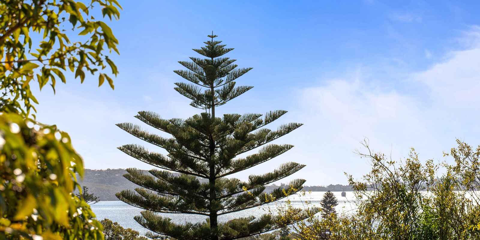 2/230 New South Head Road Edgecliff 2/230 New South Head Road Edgecliff