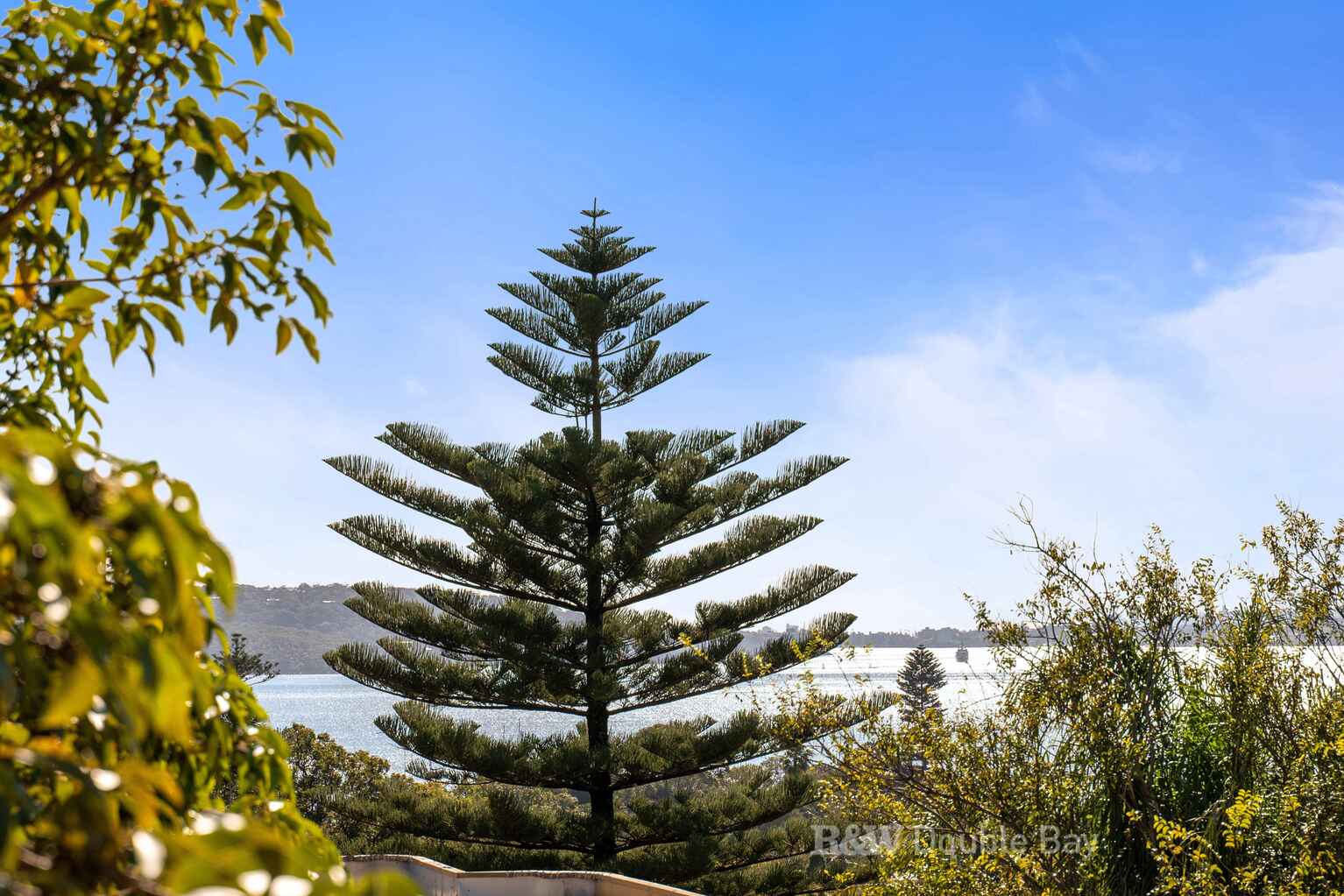 2/230 New South Head Road Edgecliff