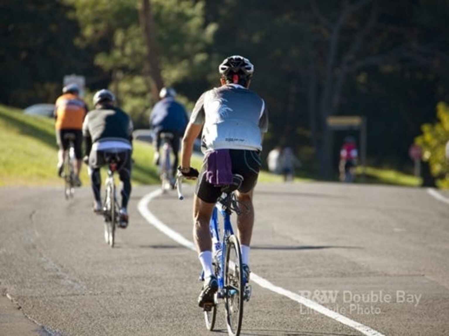 50a Ocean Street Woollahra