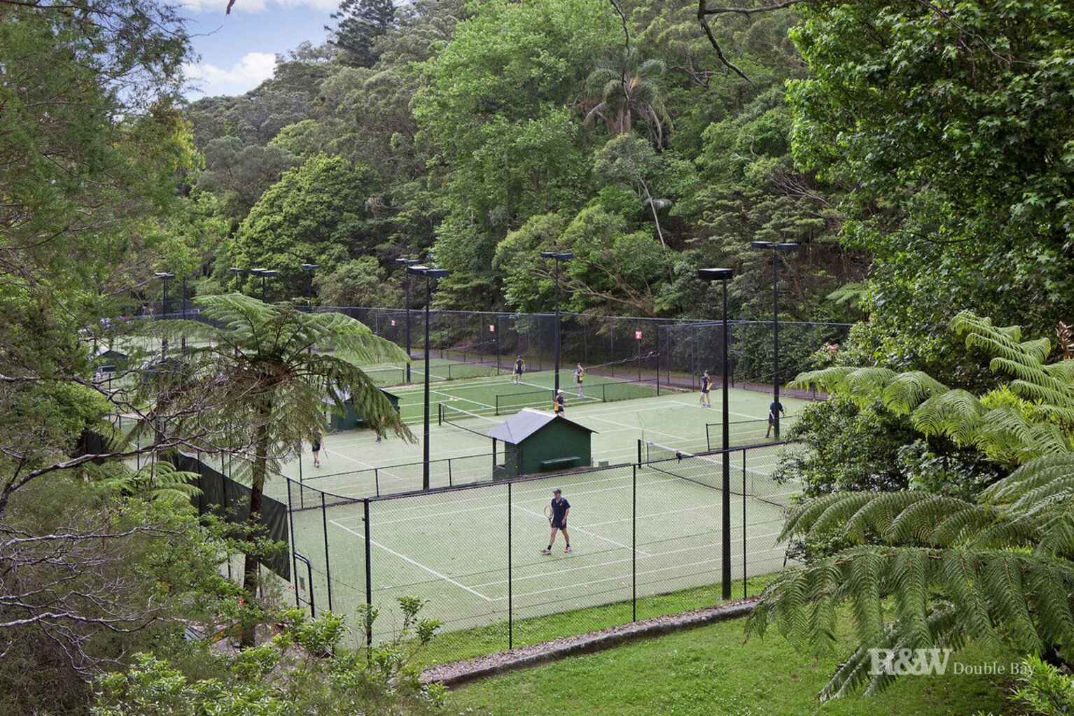 31 Suttie Road Bellevue Hill 31 Suttie Road Bellevue Hill