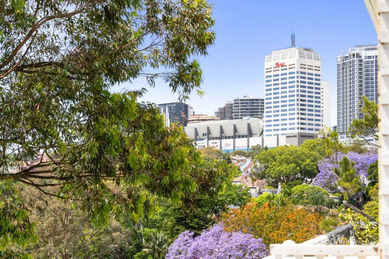 44/19 Stanley Street Woollahra