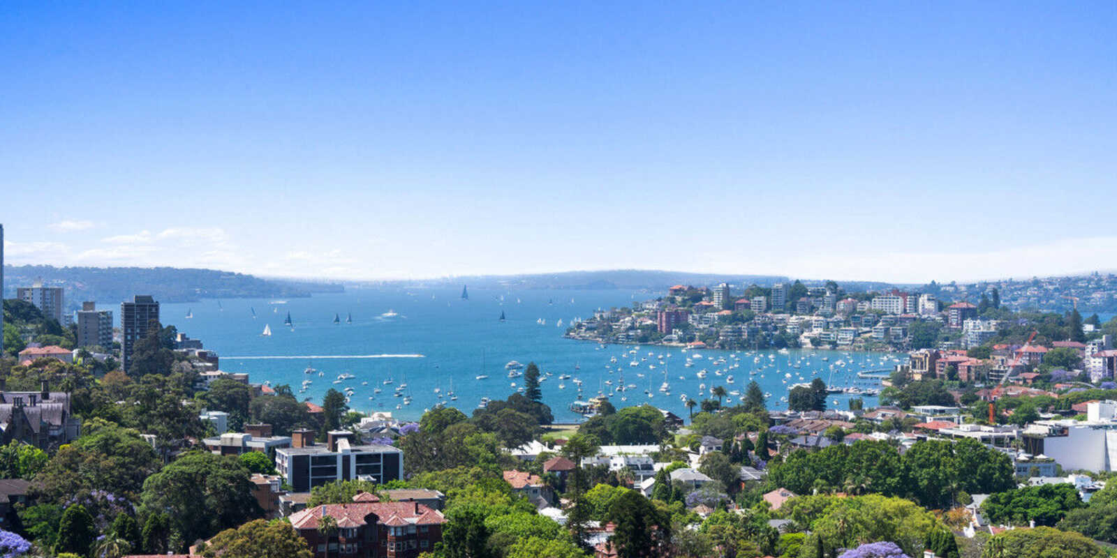 1802/180 Ocean Street Edgecliff 1802/180 Ocean Street Edgecliff