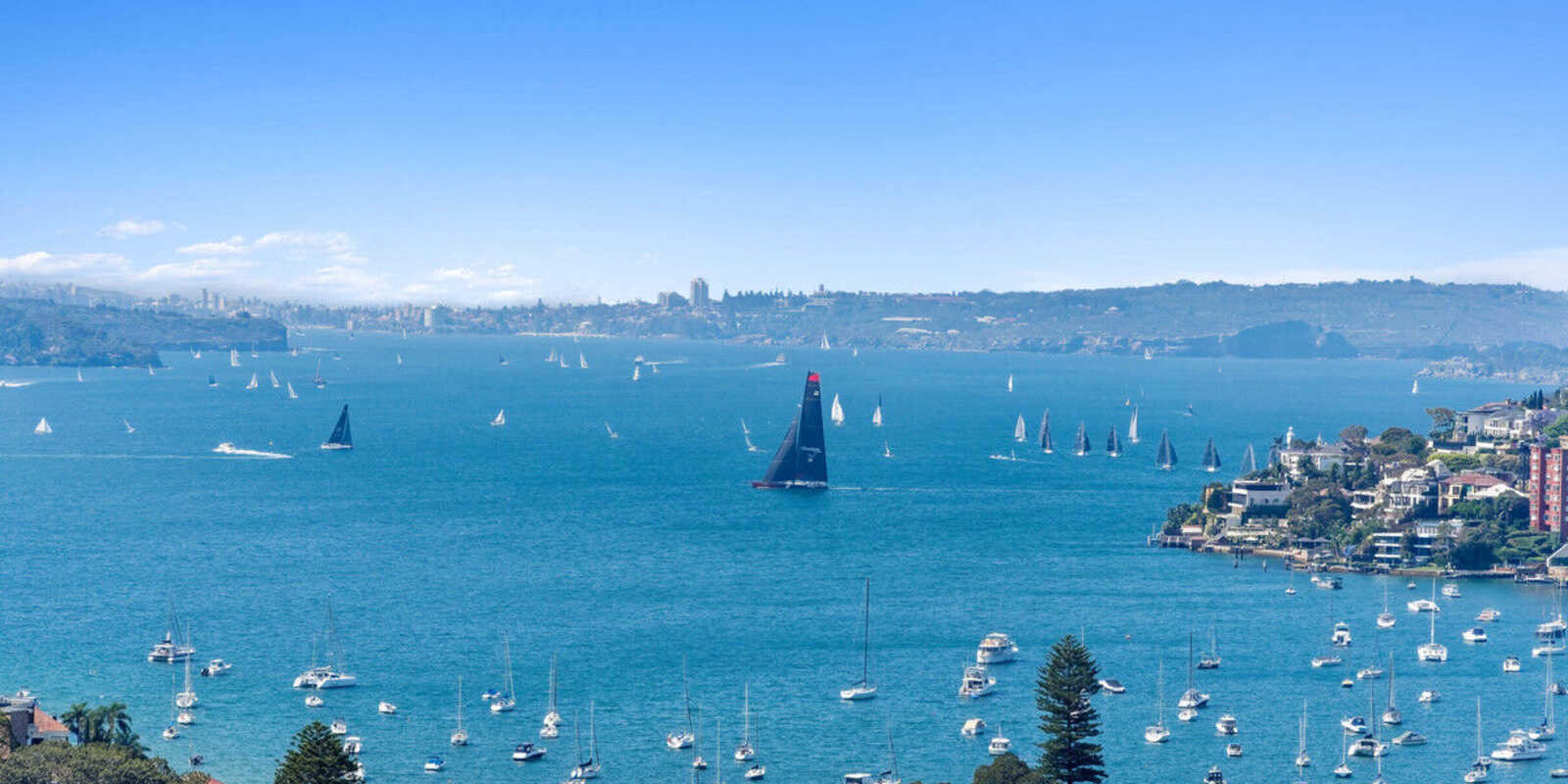 1802/180 Ocean Street Edgecliff 1802/180 Ocean Street Edgecliff