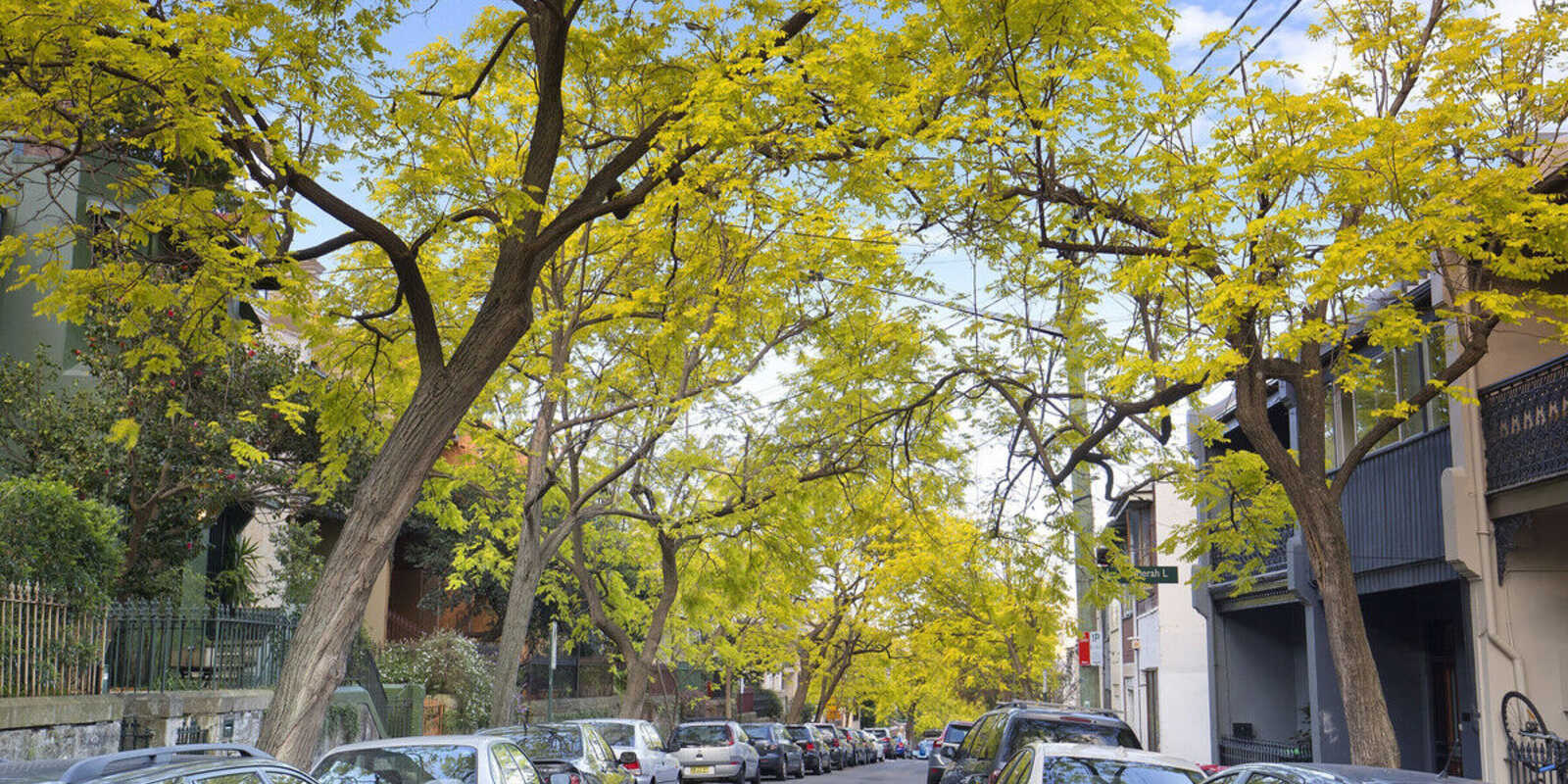 57/15-19 Boundary Street Darlinghurst