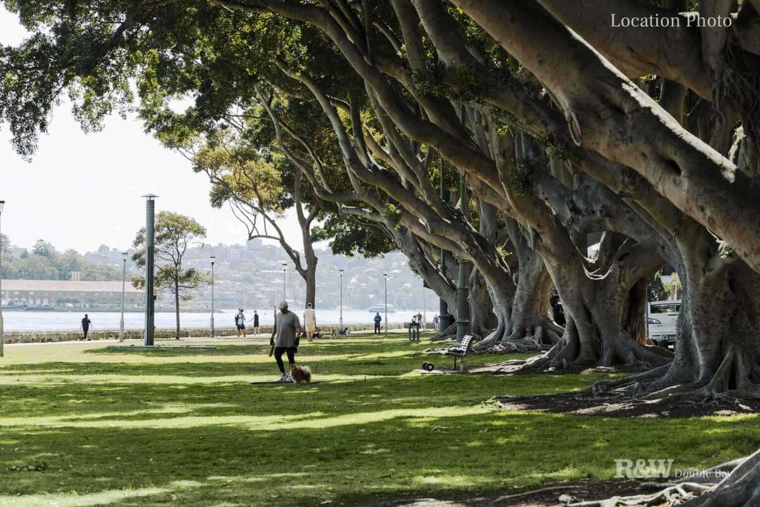 12/230-238 New South Head Road Edgecliff