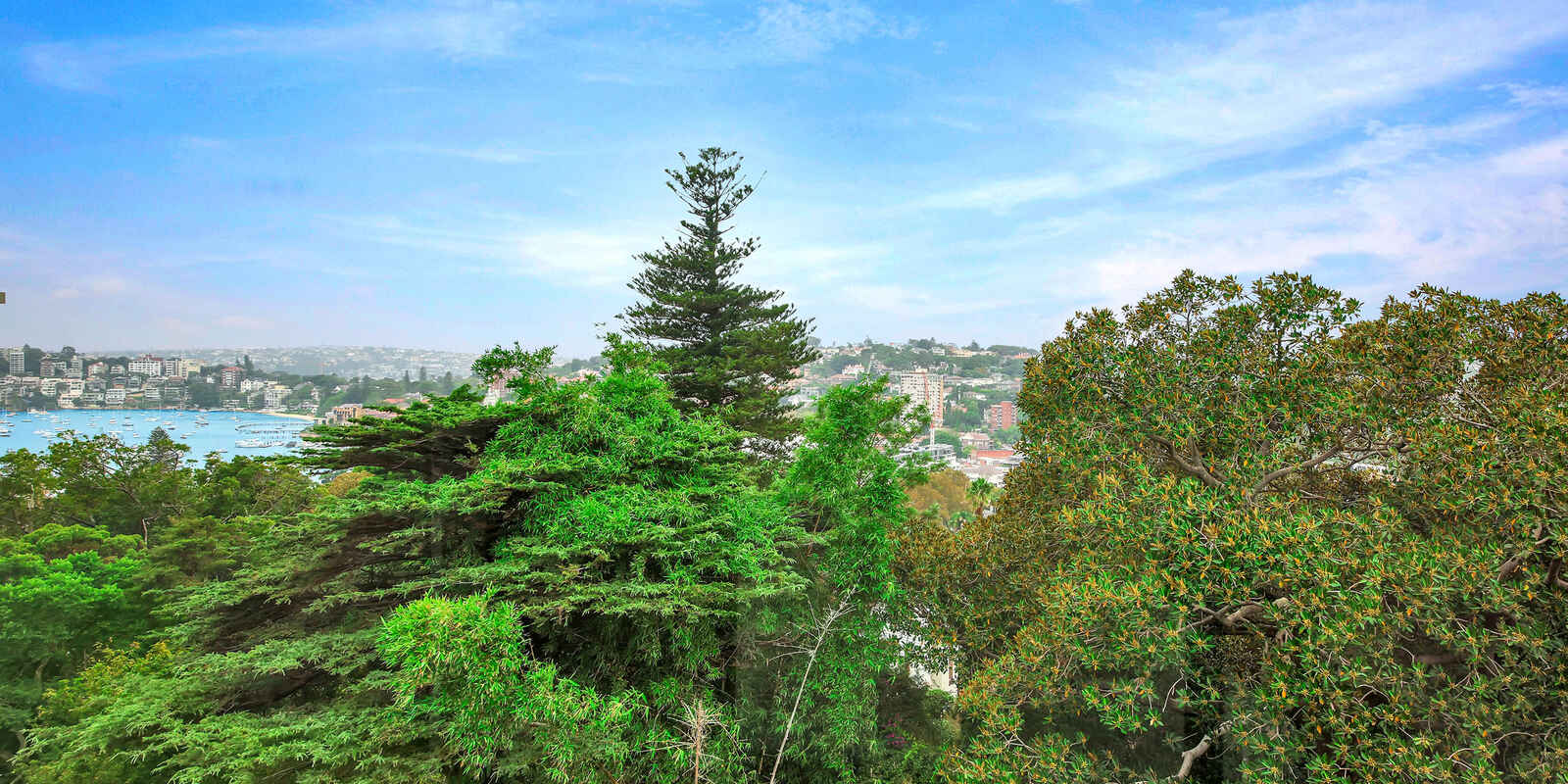 36/5 St Marks Road Darling Point