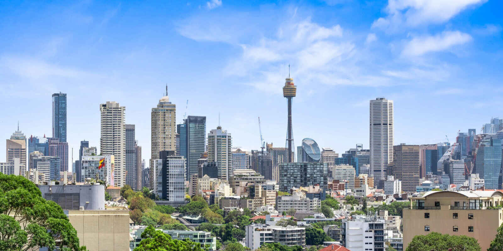 29/365a Edgecliff Road Edgecliff