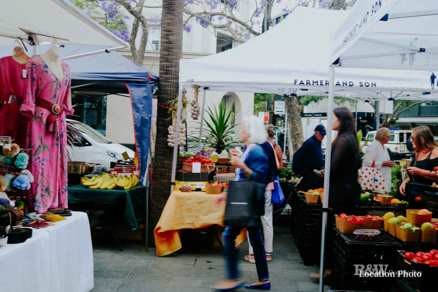 29/365a Edgecliff Road Edgecliff