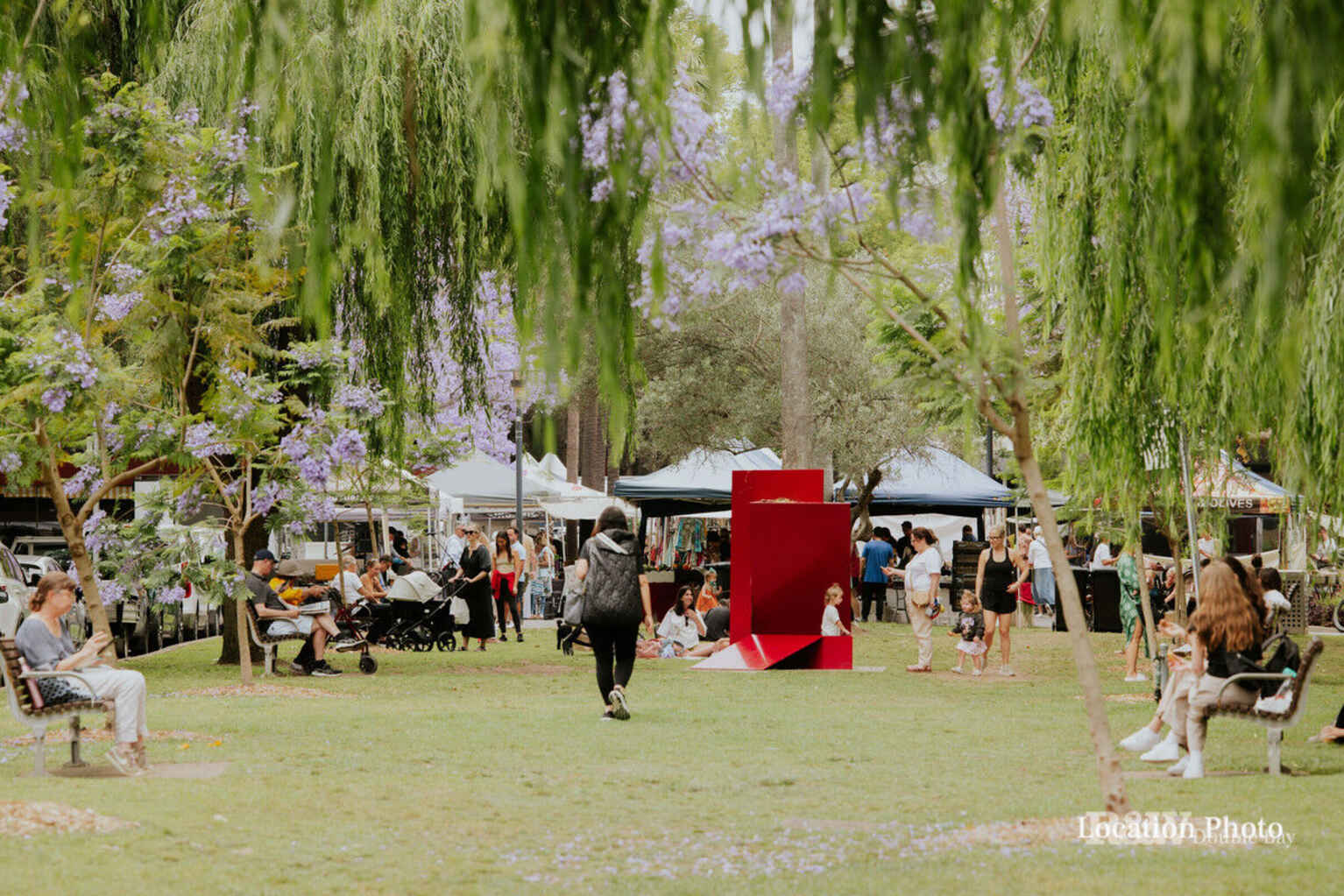 29/365a Edgecliff Road Edgecliff