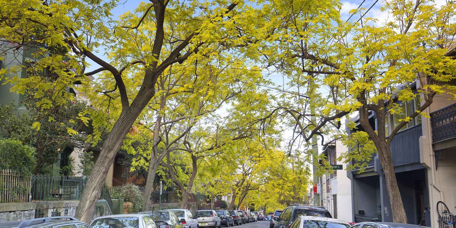 4/48 Surrey Street Darlinghurst 4/48 Surrey Street Darlinghurst