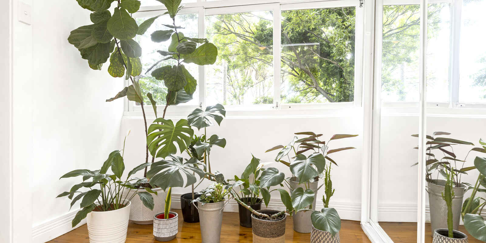 4/48 Surrey Street Darlinghurst 4/48 Surrey Street Darlinghurst