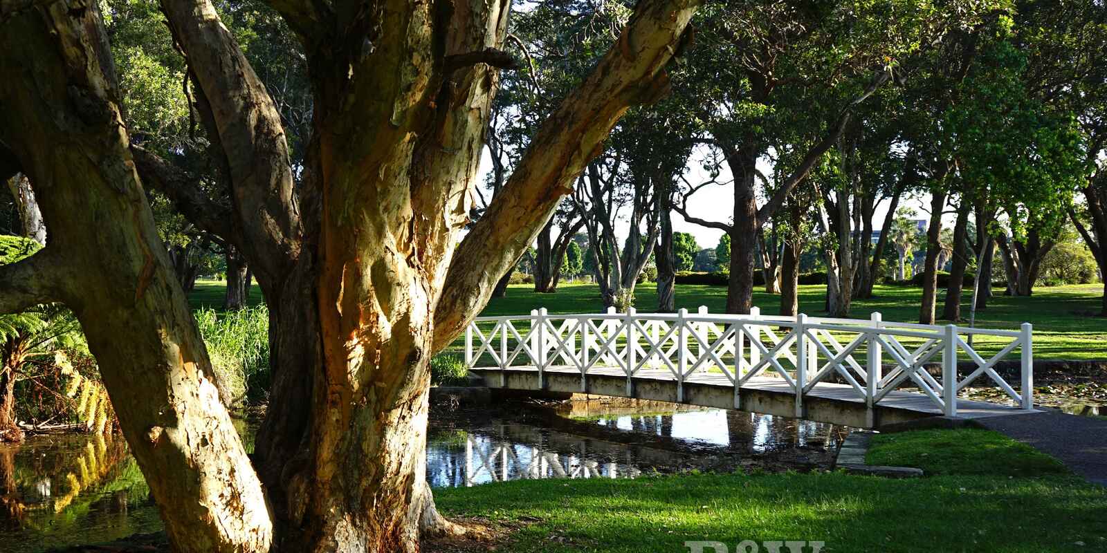 4/68 Cook Road Centennial Park 4/68 Cook Road Centennial Park