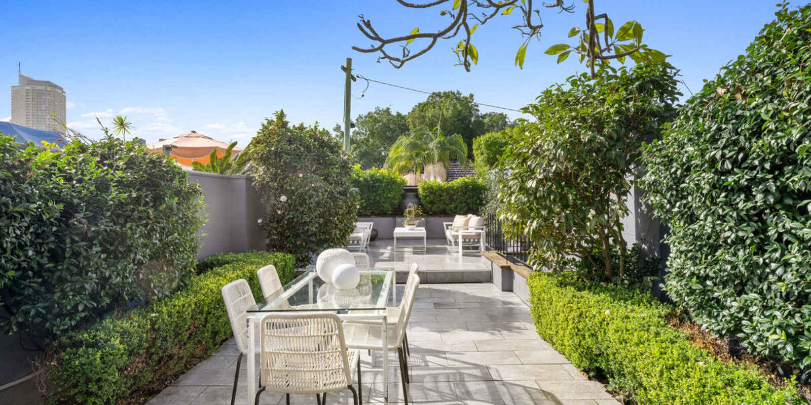 16 MacDonald Street Paddington