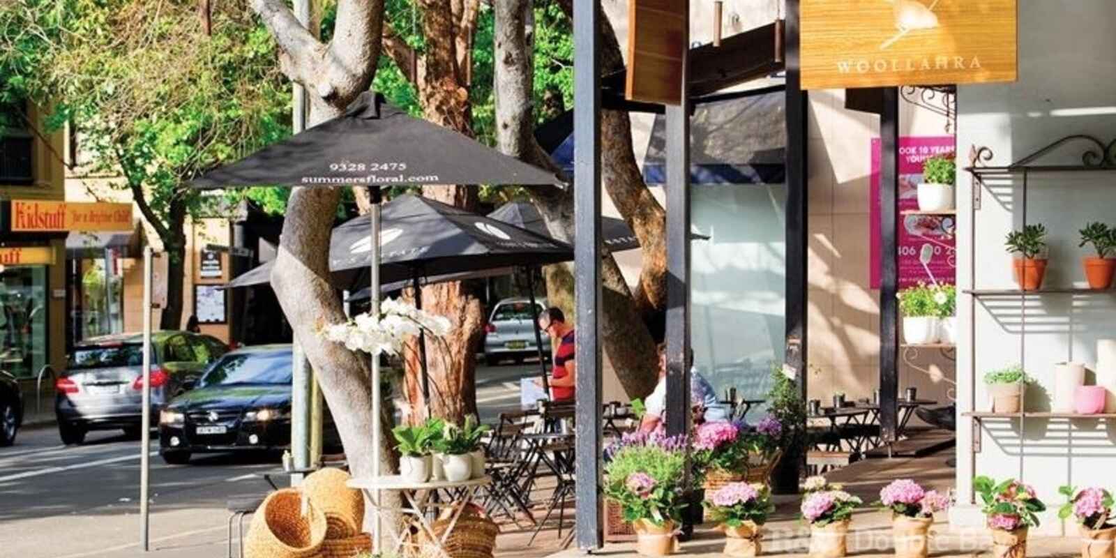 19/50B Ocean Street Woollahra