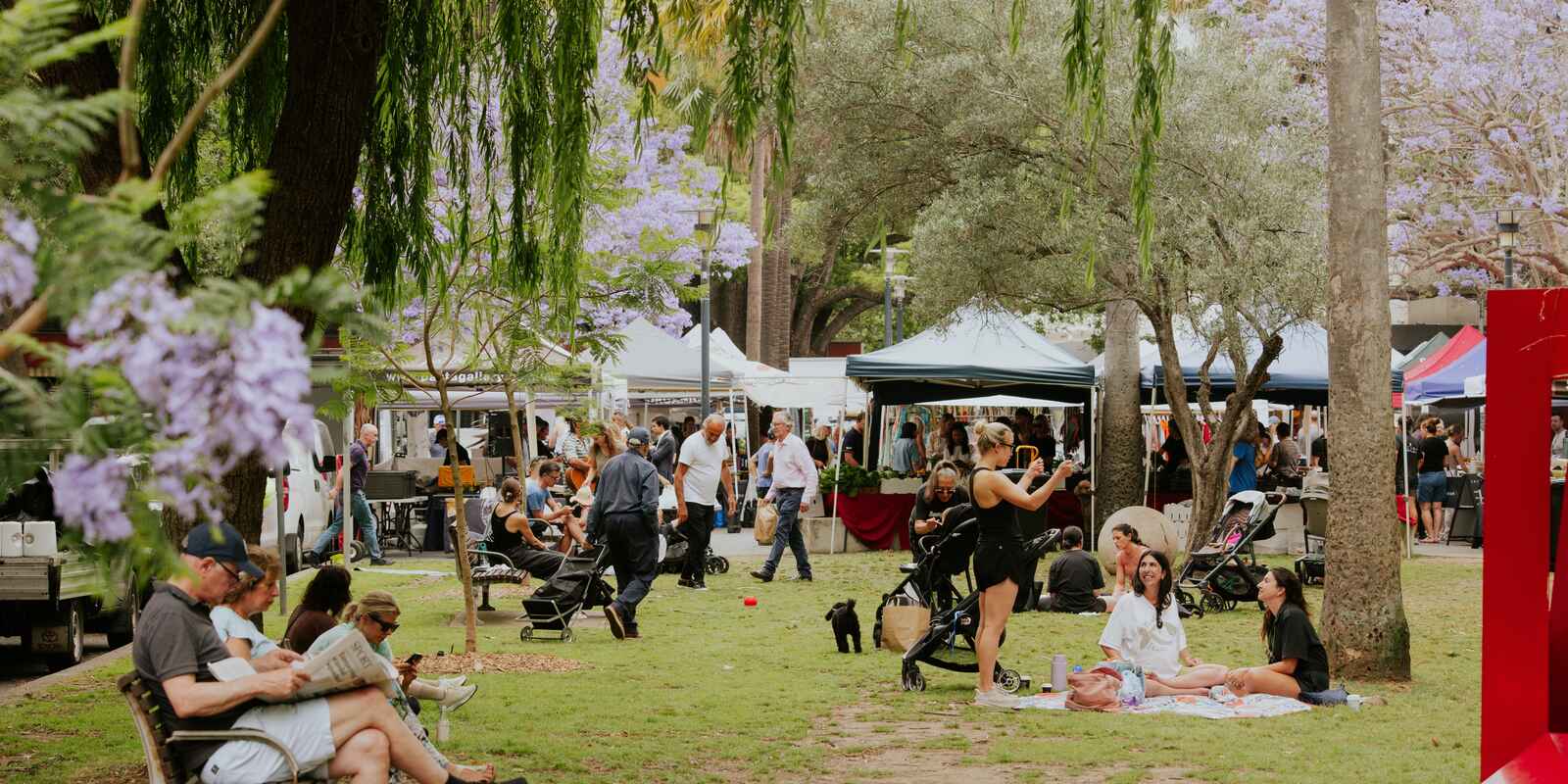 1/2 Marathon Road Darling Point