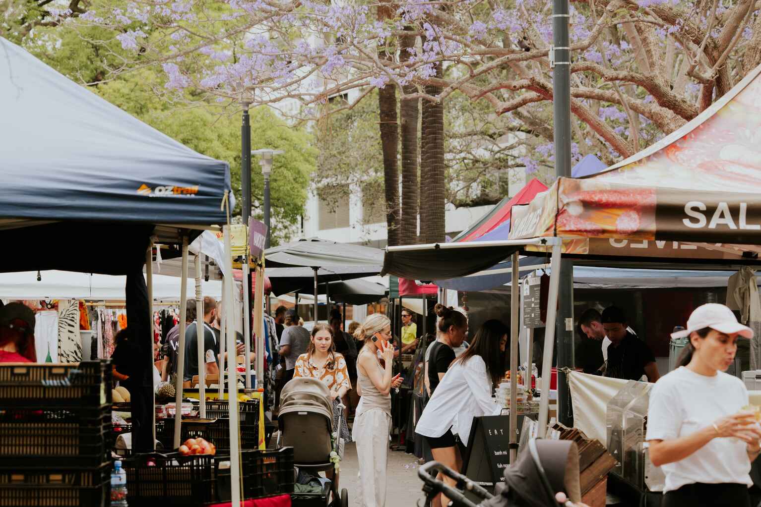 7/4 Aston Gardens Bellevue Hill