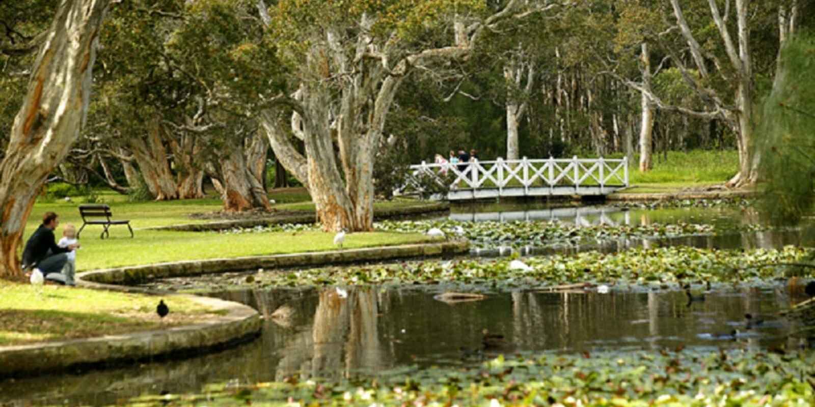 34 Allens Parade Bondi Junction