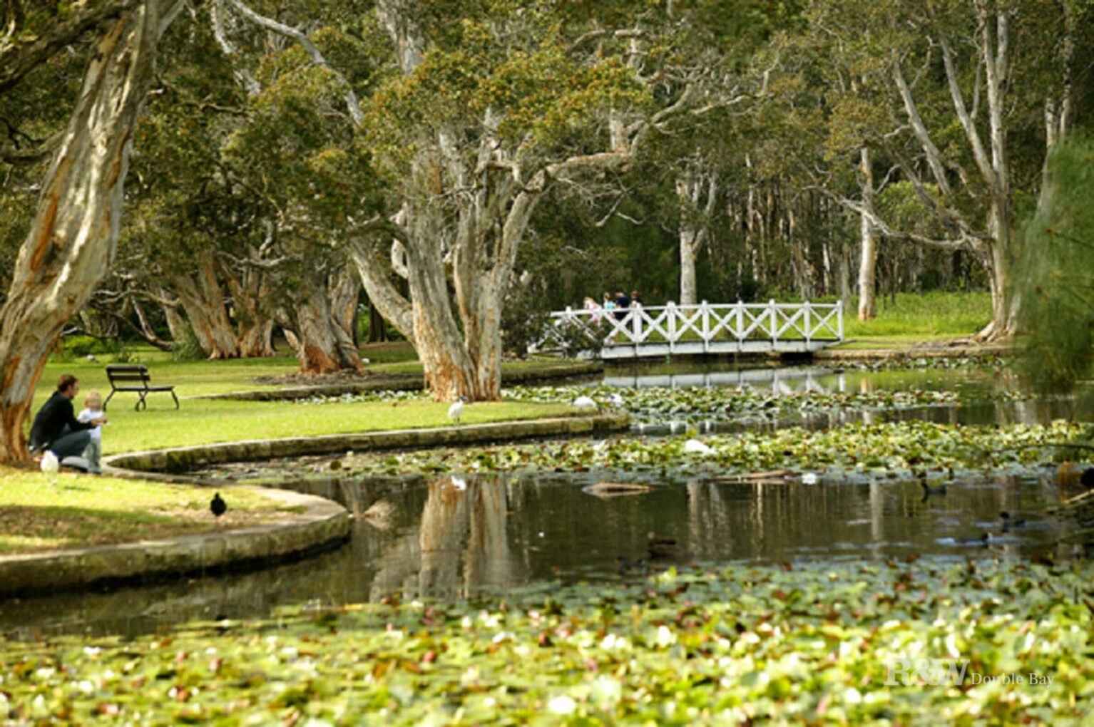 34 Allens Parade Bondi Junction