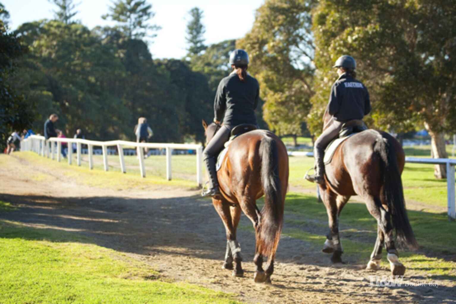 34 Allens Parade Bondi Junction