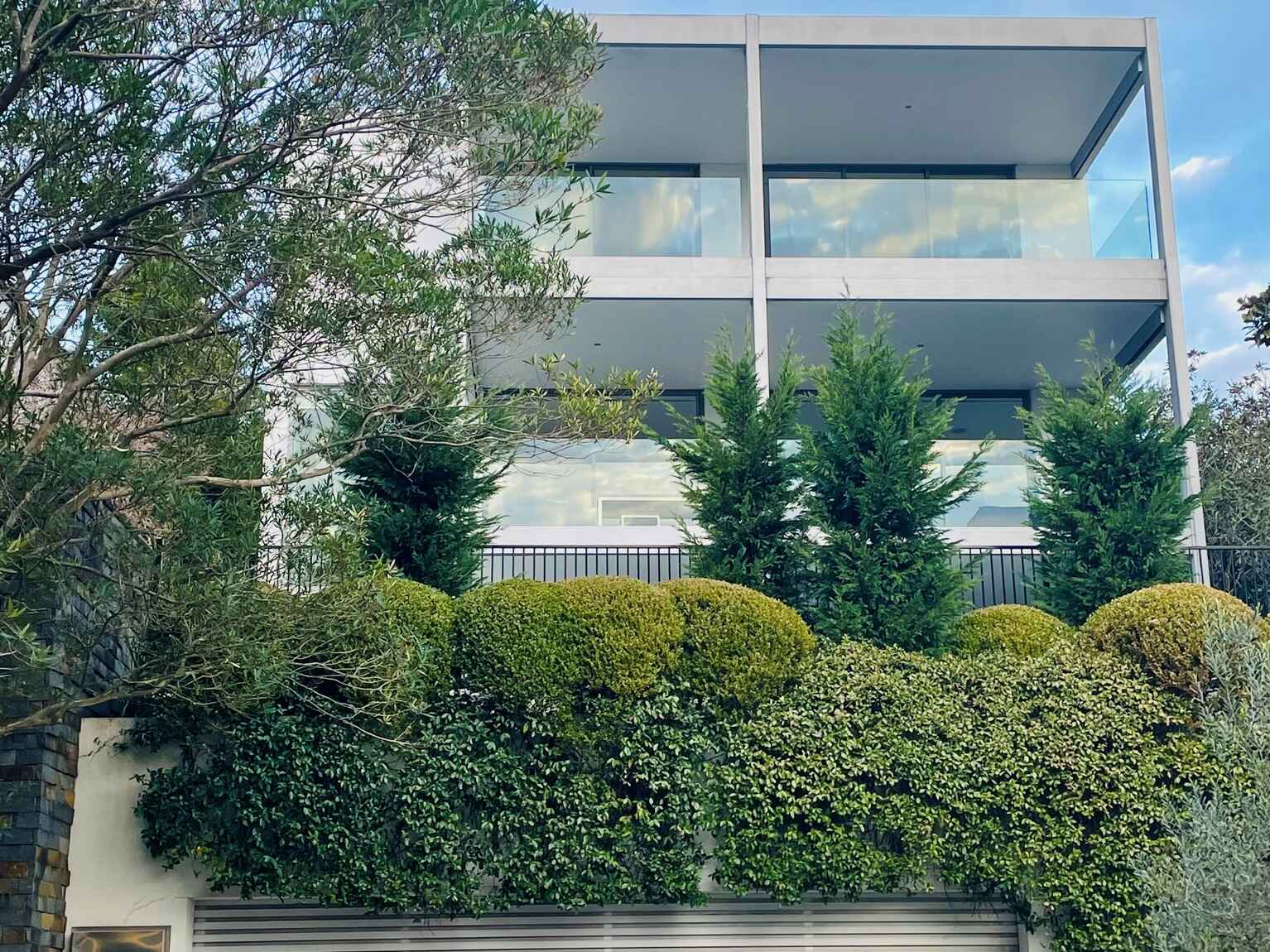 20 Suttie Road Bellevue Hill