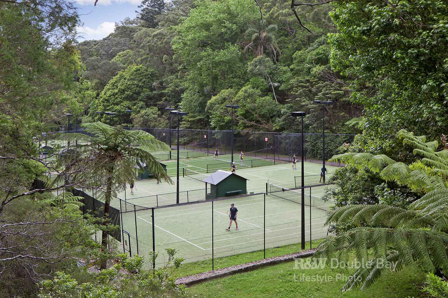 20 Suttie  Road Bellevue Hill