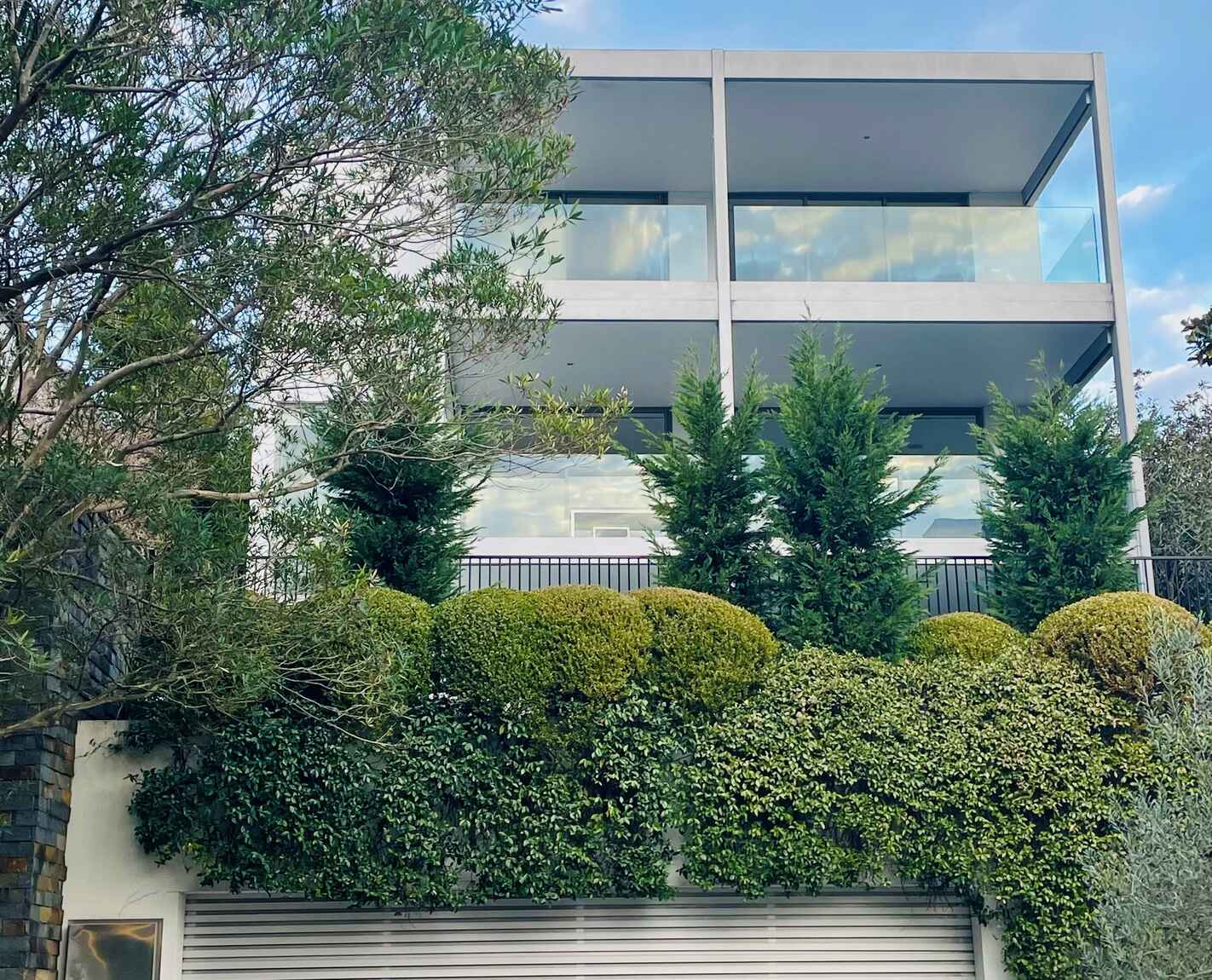 20 Suttie  Road Bellevue Hill