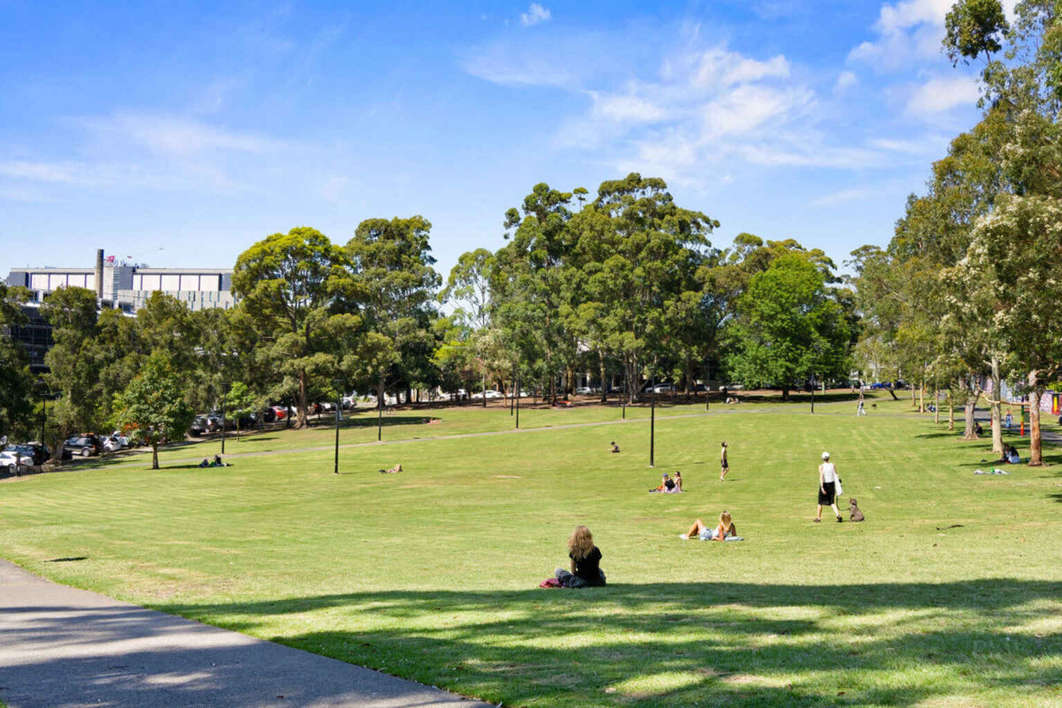 19 Fowler Street Camperdown 19 Fowler Street Camperdown