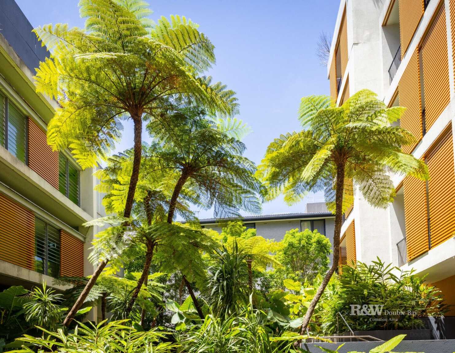 3/9-15 Ascot Street Kensington