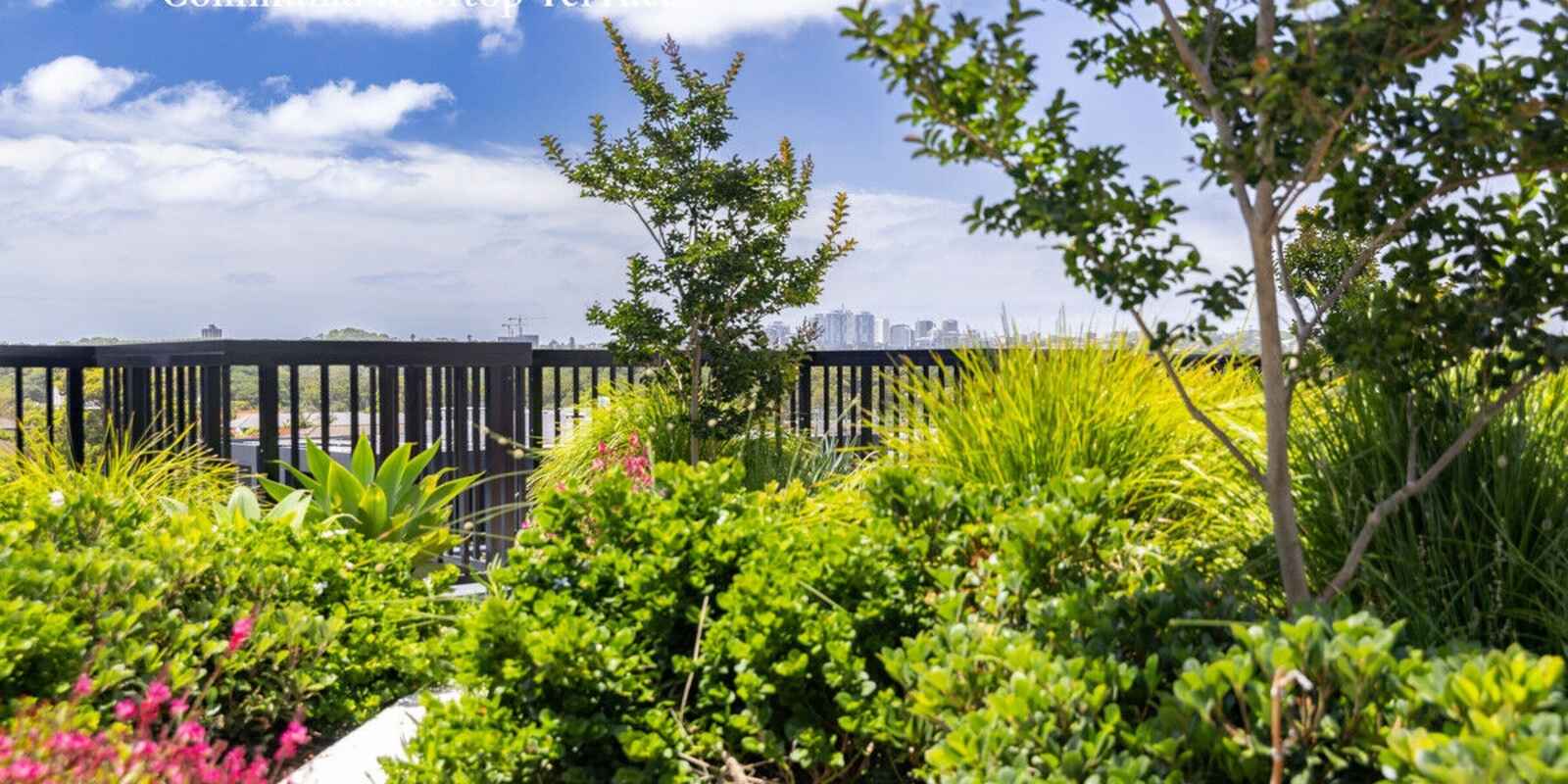 3/9-15 Ascot Street Kensington