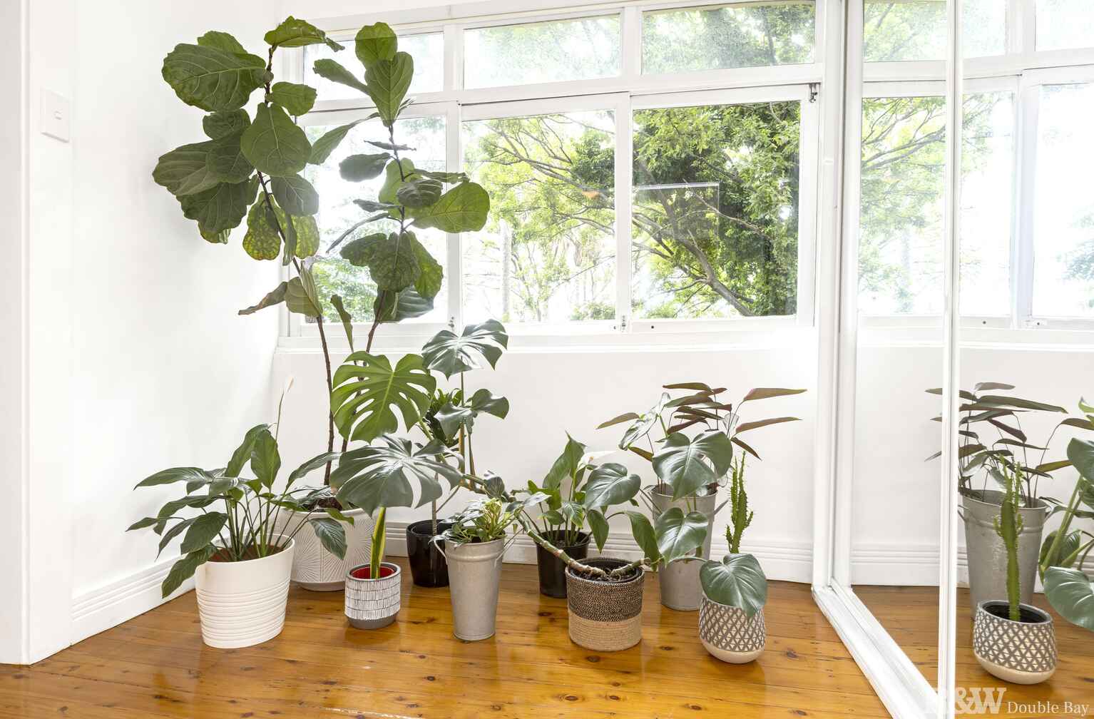 4/48 Surrey Street Darlinghurst