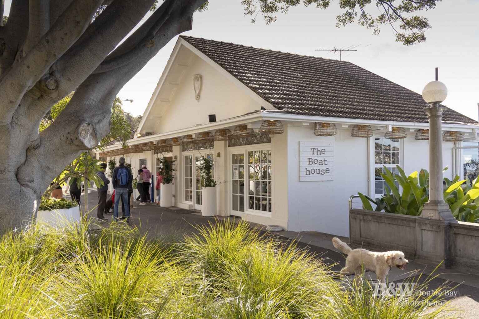 3/659 New South Head Road Rose Bay