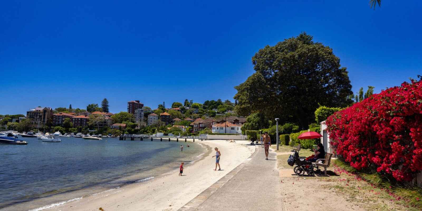 8D/45 Ocean Avenue Double Bay 8D/45 Ocean Avenue Double Bay