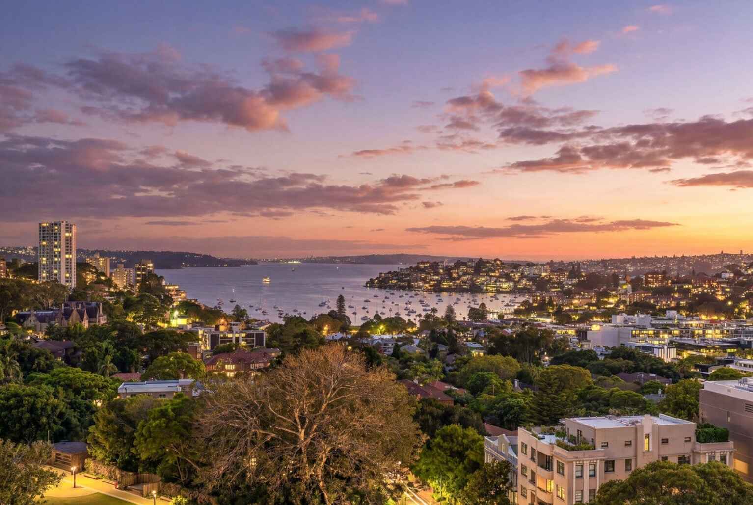 1603/180 Ocean Street Edgecliff