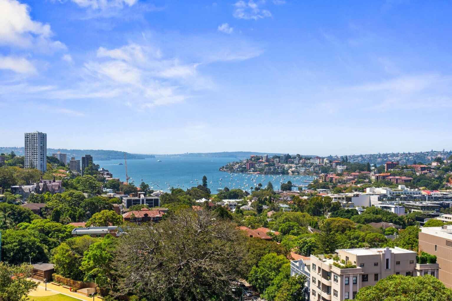 1603/180 Ocean Street Edgecliff