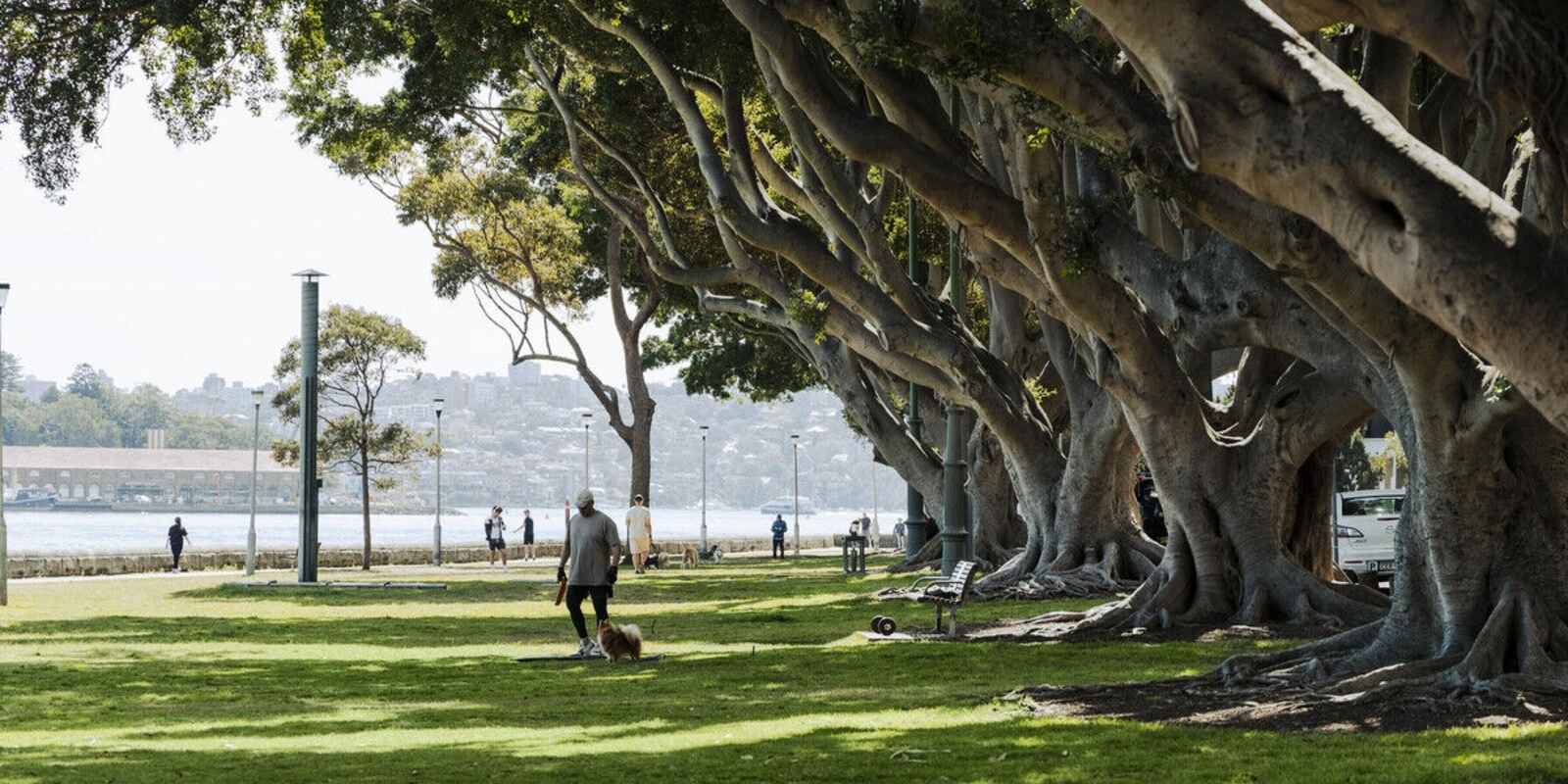 18-20 Artlett Street Edgecliff 18-20 Artlett Street Edgecliff