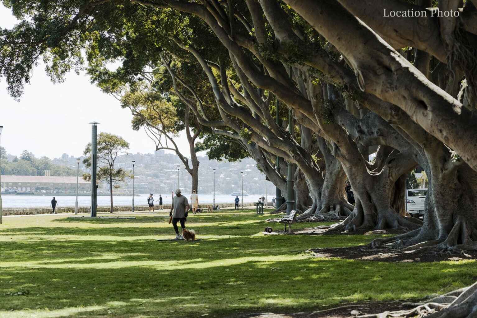 18-20 Artlett Street Edgecliff 18-20 Artlett Street Edgecliff