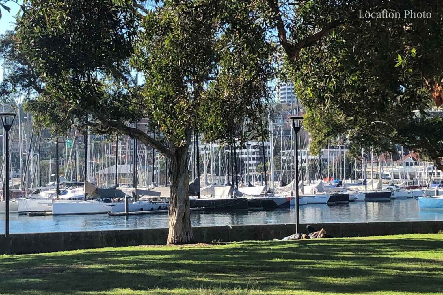 18-20 Artlett Street Edgecliff 18-20 Artlett Street Edgecliff