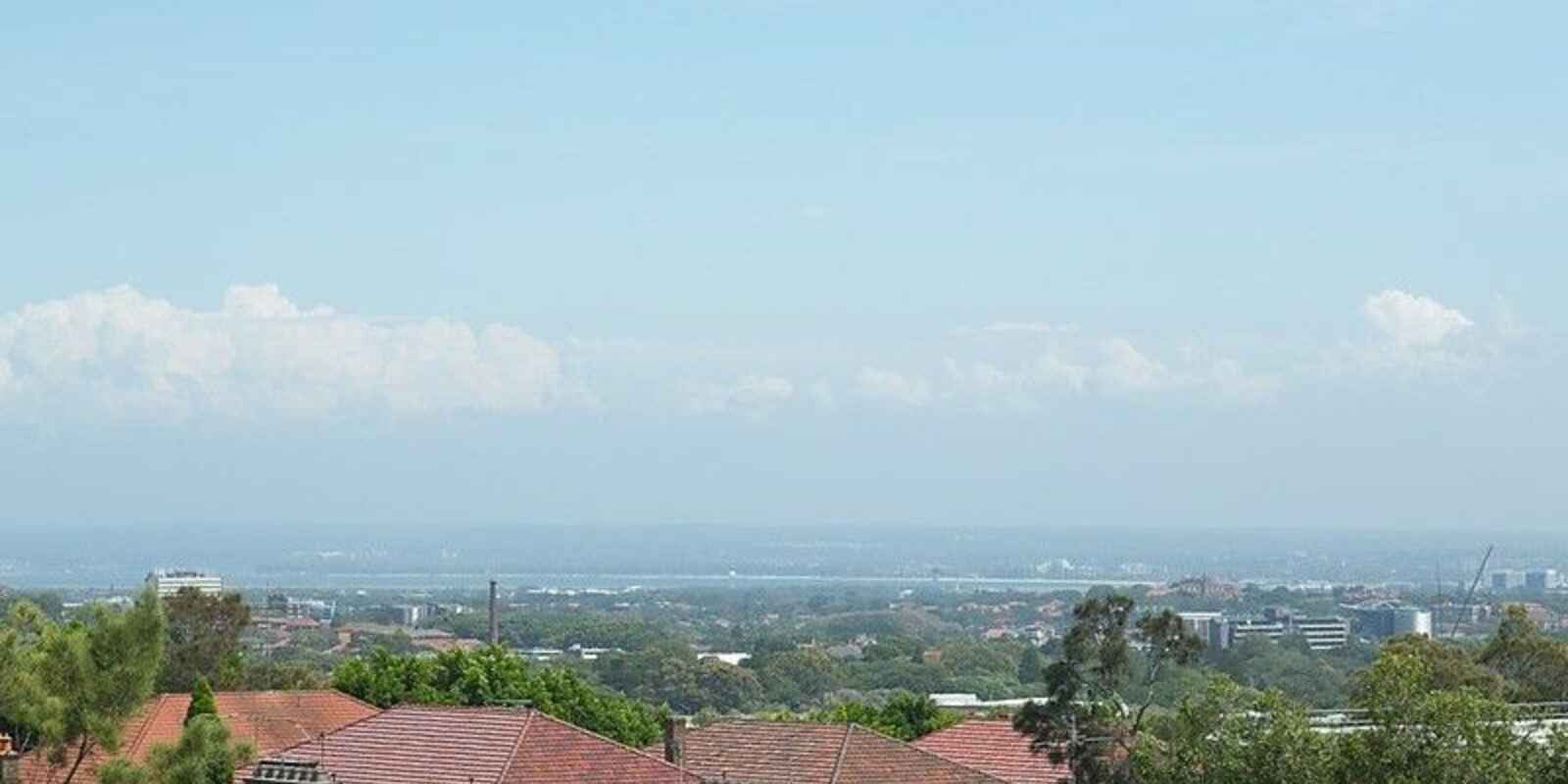 12/31 Waverley Street Bondi Junction
