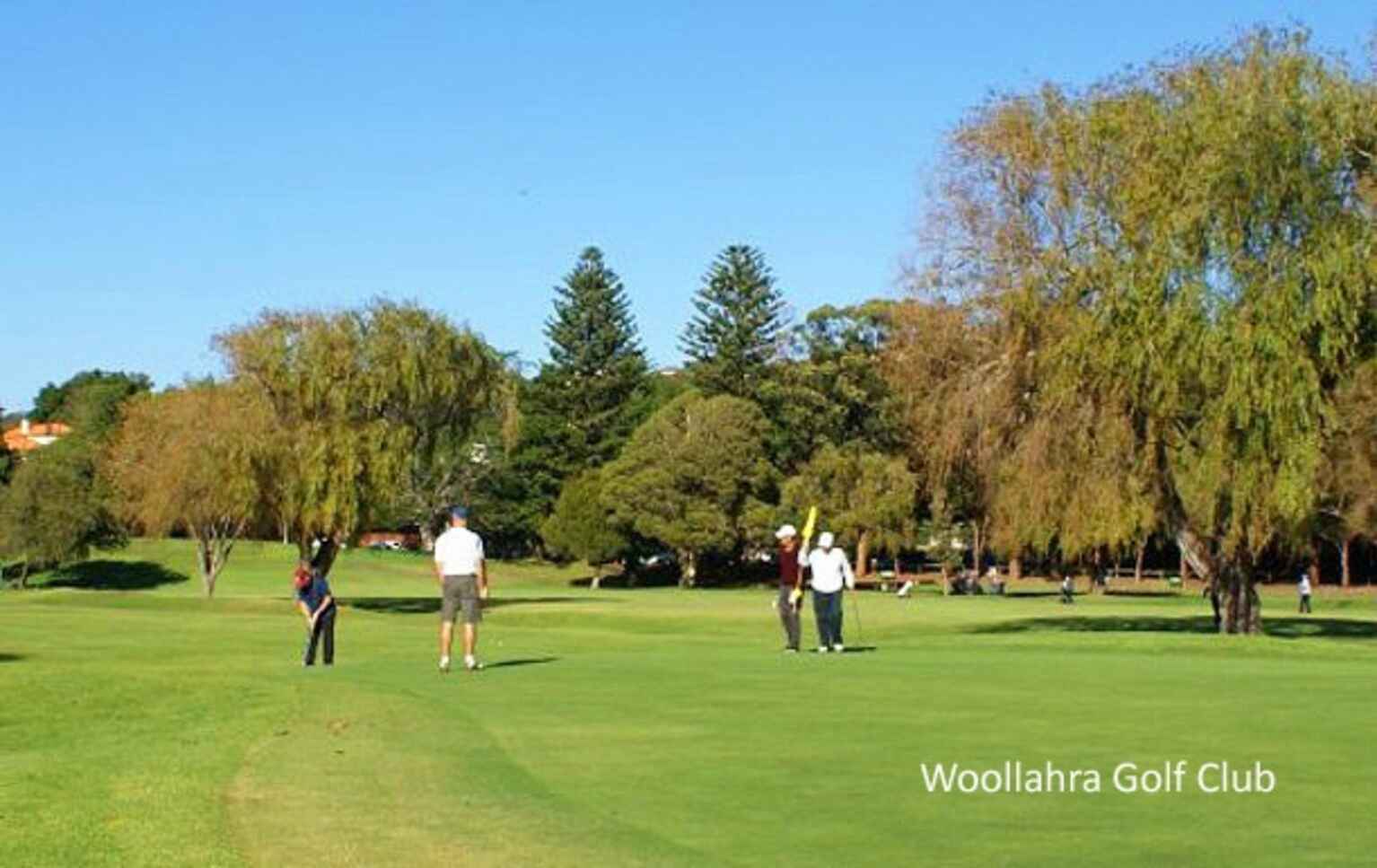 2/30 Boronia Road Bellevue Hill